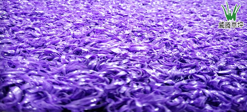 高尔夫人造果岭—紫色