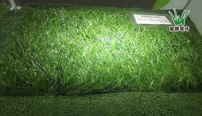 足球场人造草坪FIFA认证新标准