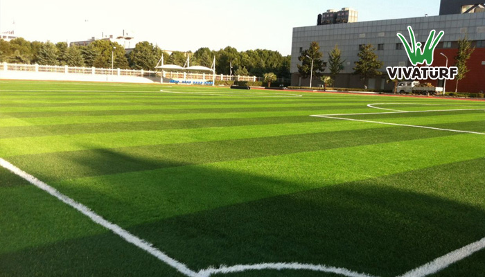 威腾人造草坪标准足球场地-安徽绿十字