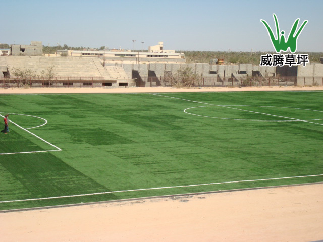 利比亚人造草坪足球场1-威腾人造草坪