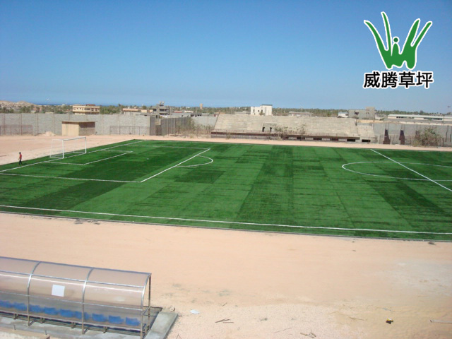 利比亚人造草坪足球场2-威腾人造草坪