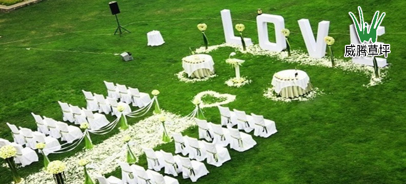 人造草坪婚礼地毯