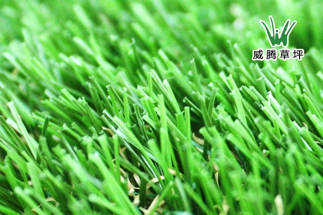 塑料草坪-威腾草坪