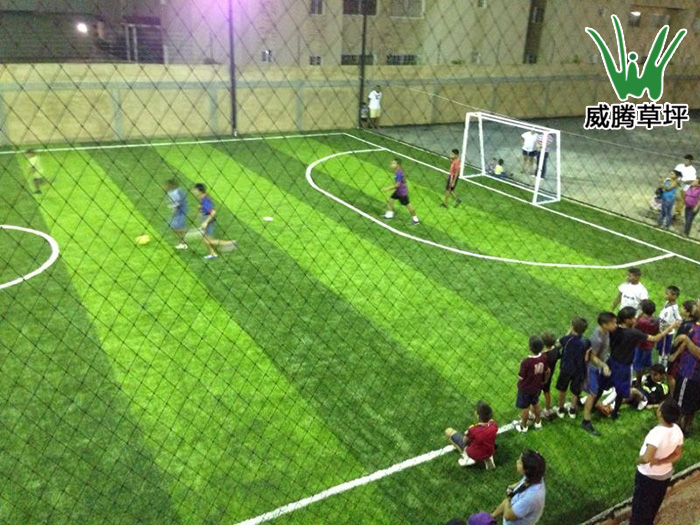 委内瑞拉加拉加斯市室内五人制人造草坪足球场