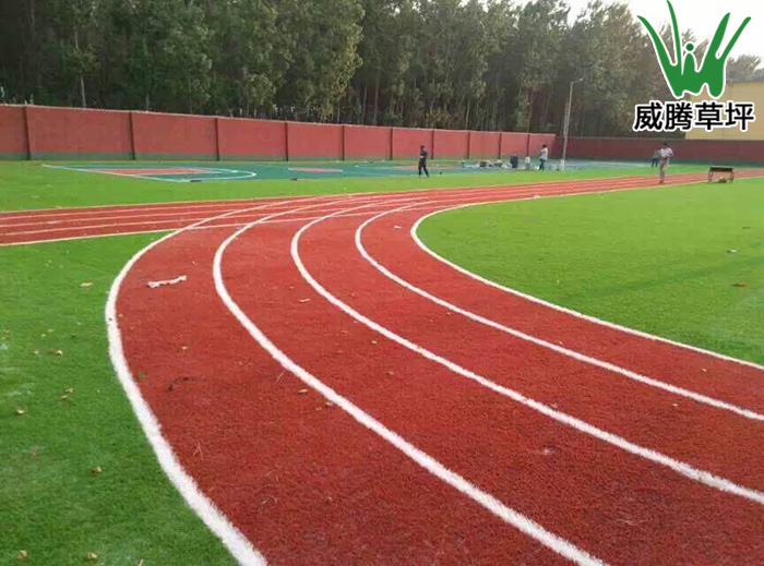 上海申花俱乐部人造草坪足球场、跑道