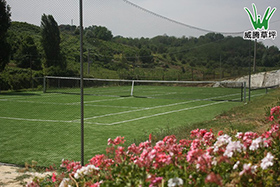 意大利佛罗伦萨人造草坪网球场