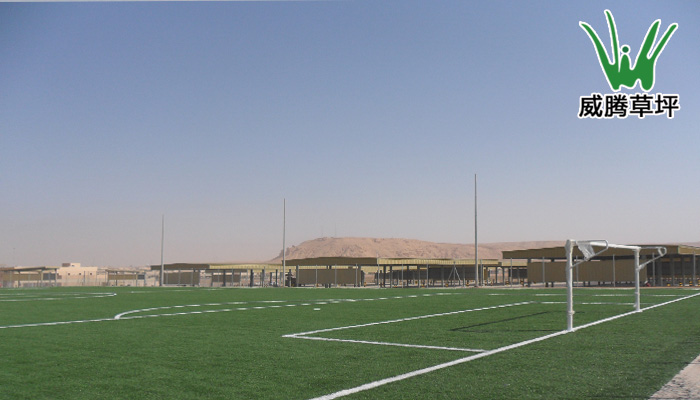 沙特阿拉伯吉达十一人制人造草坪足球场