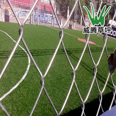 韩国和平广场标准足球场-威腾人造草坪