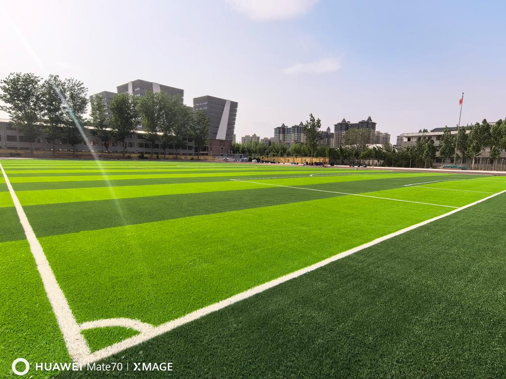 河北邢台市平乡第五中学,威腾,免填充草坪场地