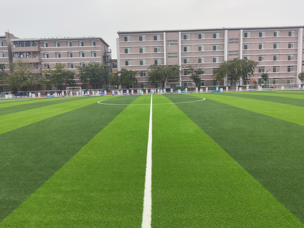 辽宁生态工程学院，威腾免填充草坪场地