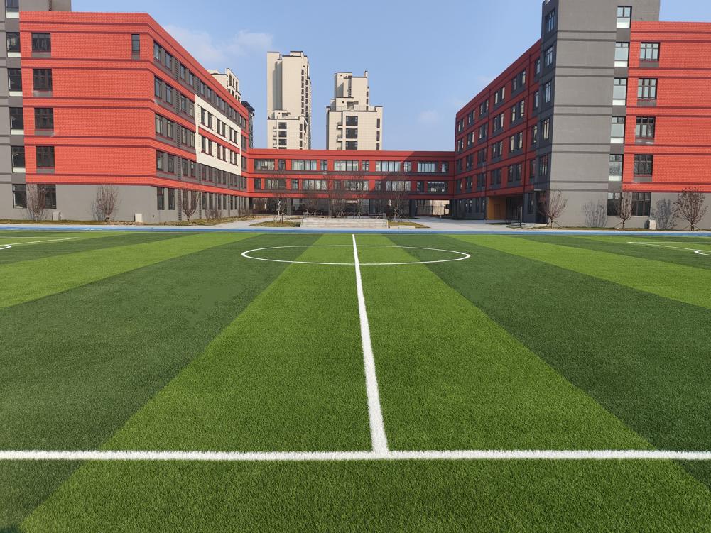 南京一校沈阳蒲河湾分校，威腾免填充草坪场地