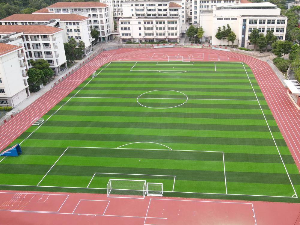 厦门观音山音乐学校，威腾免填充草坪场地