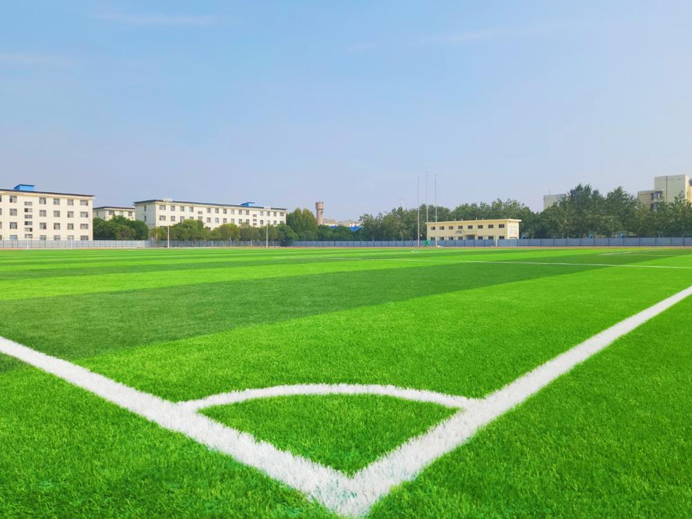 山西运城市临猗县第三中学，威腾免填充草坪场地