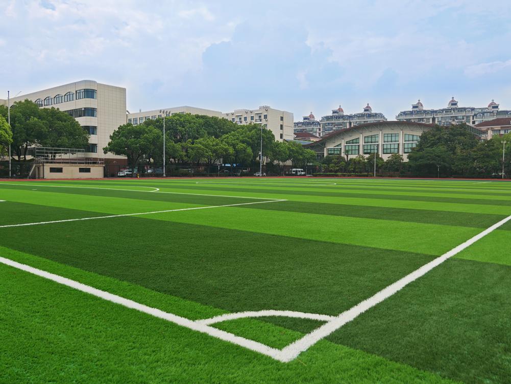 上海杨思高级中学,威腾免填充草坪场地