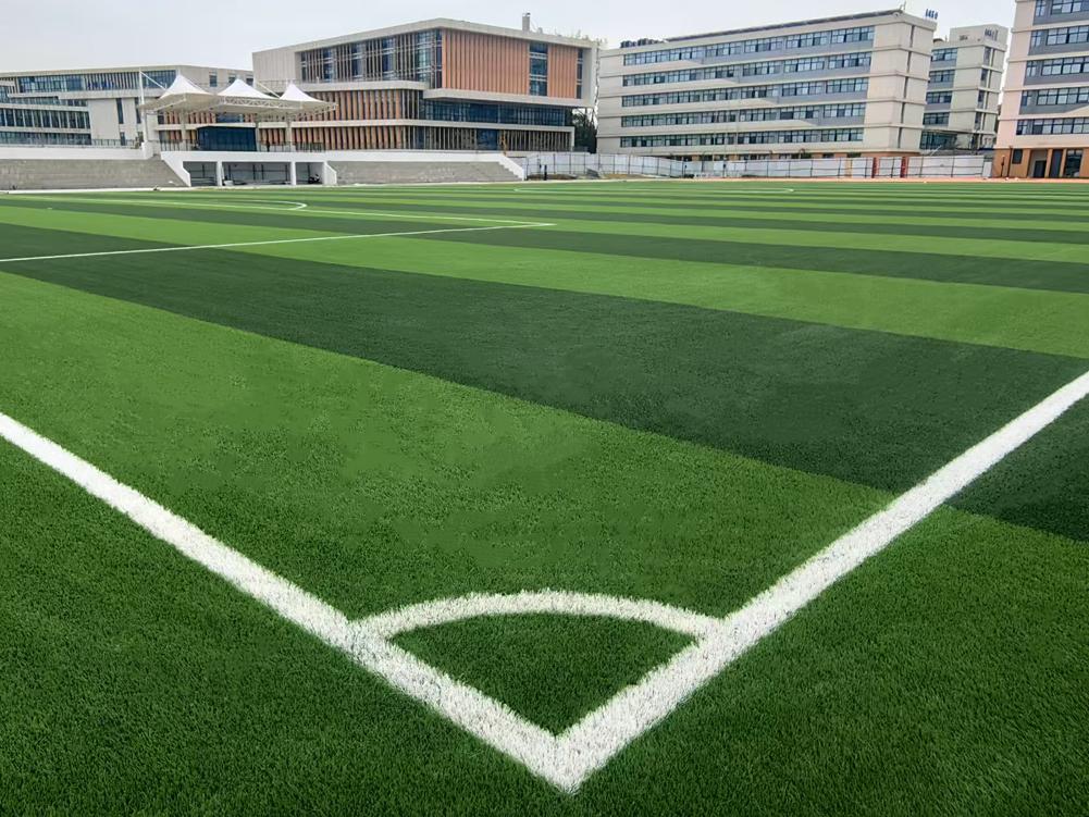 苏州太湖旅游中等职业学校,威腾免填充草坪场地