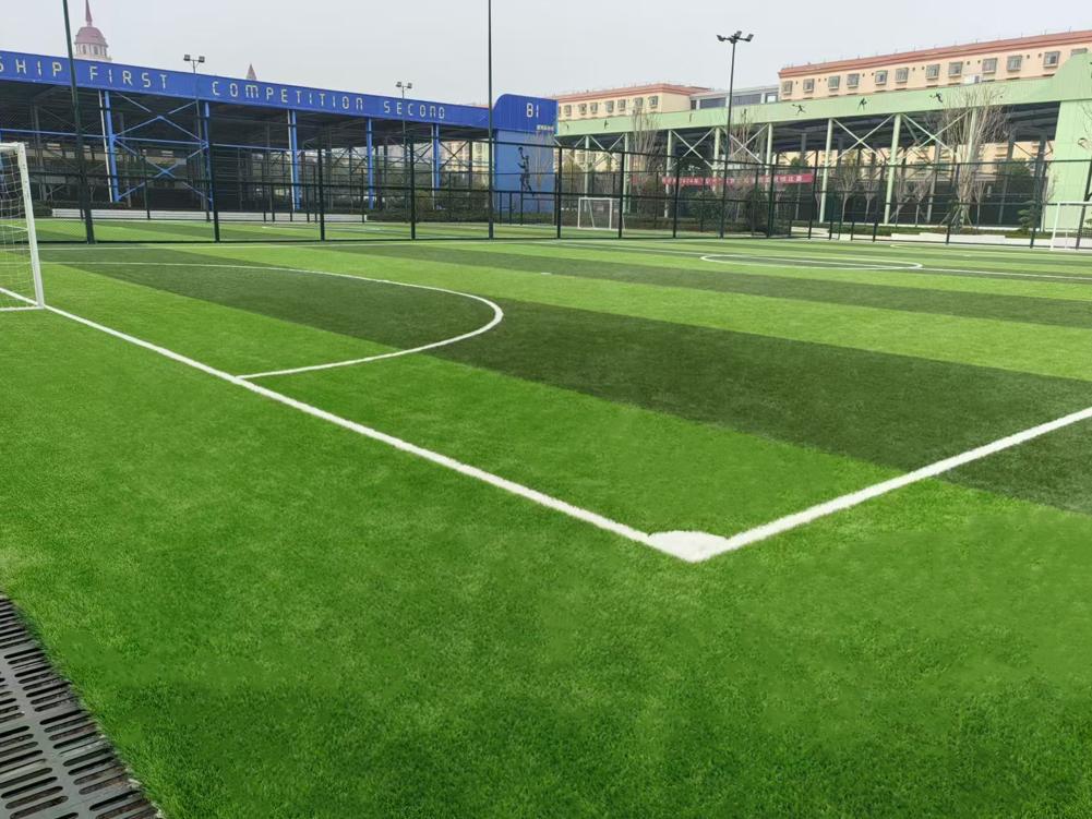 郑州西亚斯学院足球场,威腾免填充草坪场地