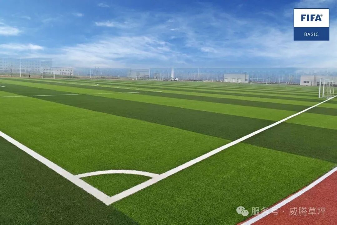 天津港保税区绿色低碳